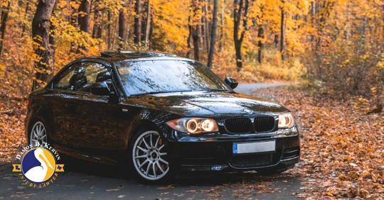 car in slick leafy road